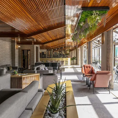 D. Afonso & Ξενοδοχείο Monte Real