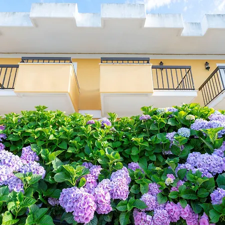 Отель D. Afonso & Монте-Реал