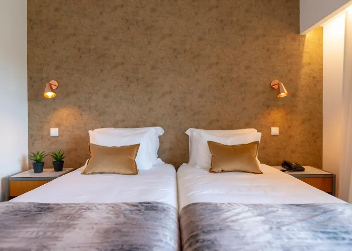 D. Afonso & Monte Real