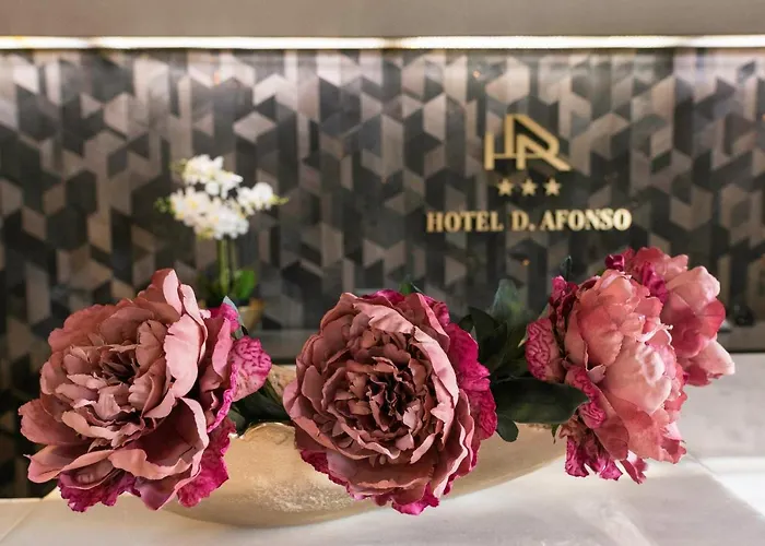 Hotel D. Afonso &
