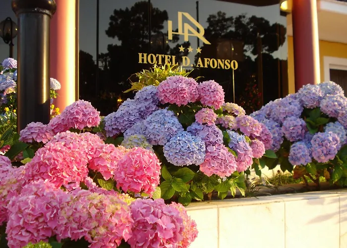 D. Afonso & 3* Monte Real