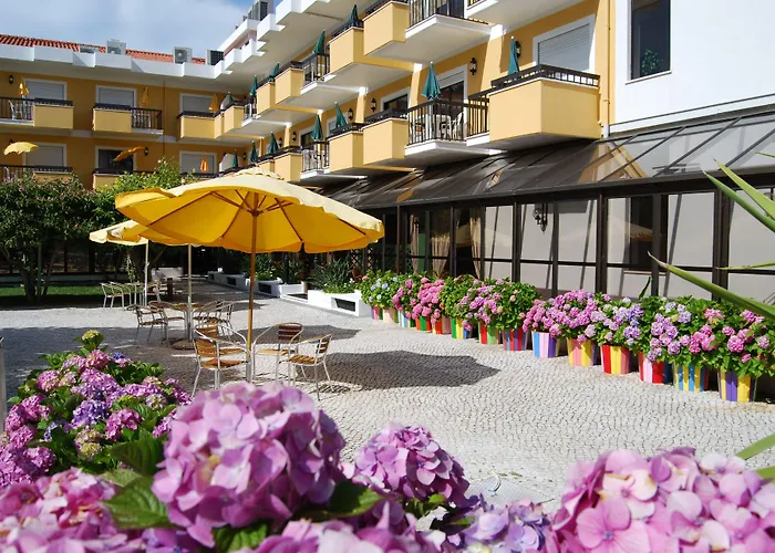 D. Afonso & Monte Real