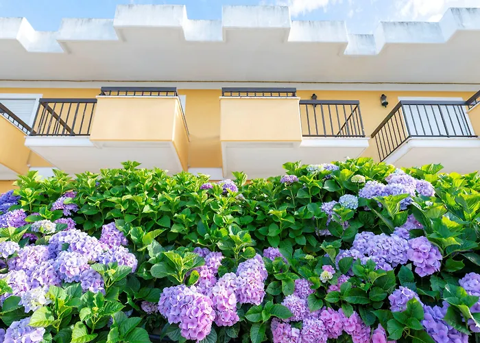 Hotel D. Afonso & Monte Real